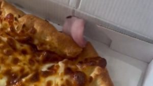 Illustration : "Pour obtenir un morceau de pizza, ce chien, très malin, fait preuve d’ingéniosité "