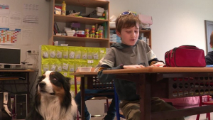 Illustration : "La présence d’un chien peut apaiser les enfants atteints de troubles autistiques : une école nous le prouve "
