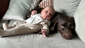 Illustration : "Pour le choix du prénom de leur bébé, ce couple s’en remet à leur chien"