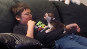 Illustration : "L’adorable scène d’un chiot Husky qui apprend à hurler avec son jeune propriétaire attendrit tout Internet (vidéo)"