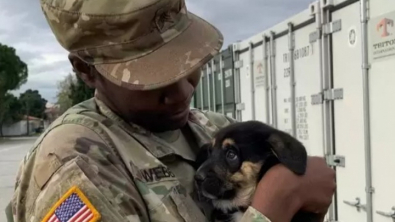 Illustration : Pour ramener un chiot abandonné rencontré en mission à l’étranger, une jeune militaire remue ciel et terre (vidéo)