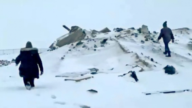 Illustration : "Le sauvetage mouvementé de 4 chiots abandonnés dans une décharge prise dans une tempête de neige"