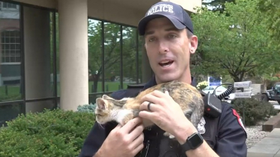 Illustration : "Grâce à l’intervention d’un bon samaritain, ce policier a un véritable coup de foudre pour un chaton abandonné"