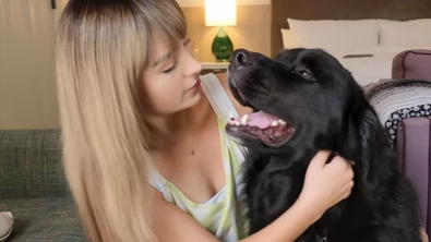Illustration : "Ce chien-guide devait aider sa maîtresse aveugle à retrouver sa mère, mais il avait un tout autre plan en tête"