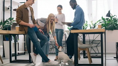 Illustration : "Santévet lance Pets @ Work, un programme pour permettre aux salariés et aux entreprises de partager leur espace de travail avec leurs animaux de compagnie"