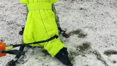 Illustration : "La joie communicative d'un chien de refuge jouant sous les flocons de neige pour la première fois de sa vie (vidéo)"