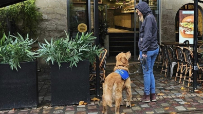 Illustration : 2 éducatrices et leurs chiens se font injustement chasser d’un restaurant et doivent lutter pour leurs droits