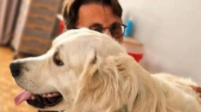 Illustration : Tango, un chien d’aveugle recalé, trouve un nouveau départ inattendu dans la vie