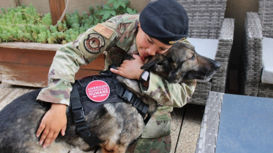 Illustration : "Une militaire retrouve enfin son chien après 1 an de séparation"