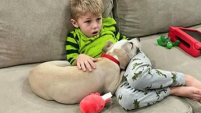Illustration : Un enfant rédige des lettres touchantes pour les futurs maîtres de la chienne qu’il a eue en tant que famille d’accueil