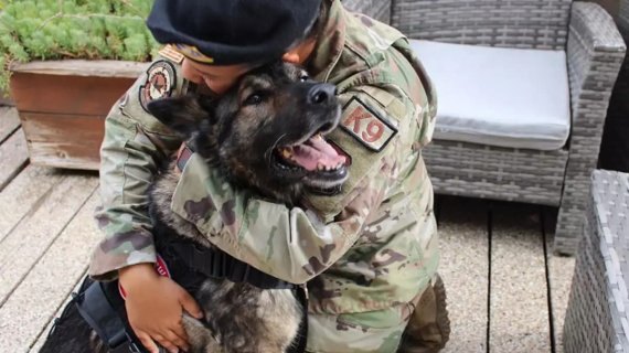 Illustration : Une association intervient en faveur d'un chien et de sa maîtresse militaire soudés par un épisode traumatisant et qui rêvaient de se retrouver depuis un an
