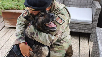 Illustration : Une association intervient en faveur d'un chien et de sa maîtresse militaire soudés par un épisode traumatisant et qui rêvaient de se retrouver depuis un an