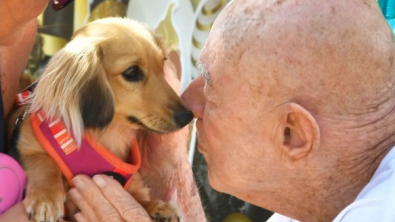 Illustration : "En l’honneur de ses 95 ans, ce retraité amoureux des chiens reçoit le plus beau des cadeaux (vidéo)"