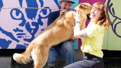 Illustration : Pour adopter le chien de leurs rêves, ce couple arrive avec 2 heures d’avance à un événement de refuge