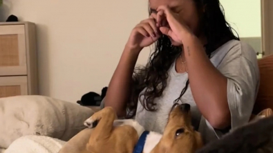 Illustration : "Le chien qu’elle accueille temporairement lui fait un câlin pour la première fois et elle ne peut retenir ses larmes (vidéo)"