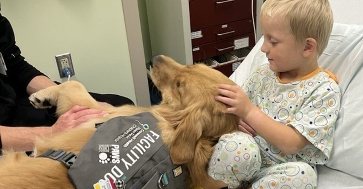 Banane Au Crochet Soutien émotionnel - Poupée Tricotée Main, Décoration Bureau, Cadeau Positif, 15 Cm