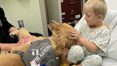 Illustration : Cette chienne de thérapie offre un soutien émotionnel aux enfants malades lors de leur séjour à l’hôpital