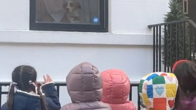 Illustration : "Ravis d’apercevoir un chien à la fenêtre, des enfants s’arrêtent devant sa maison pour le saluer chaleureusement (vidéo)"