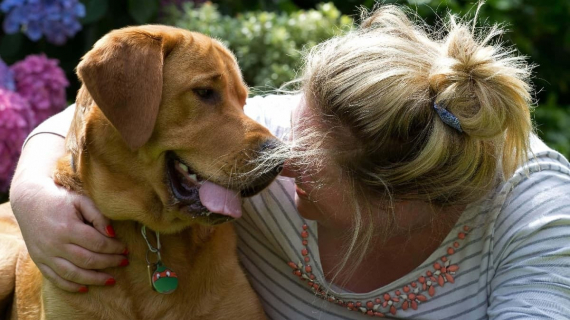 Illustration : Atteint d’un double cancer, ce chien-guide est escorté par près de 80 autres toutous pour sa dernière balade (vidéo)