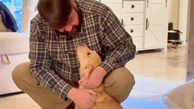 Illustration : "Reconnaissante et heureuse dans sa nouvelle famille, une chienne adoptée exulte de bonheur à chaque retour de son maître (vidéo)"