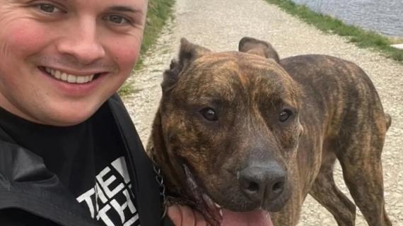 Illustration : Un jeune homme et un chien dont personne ne voulait se sauvent mutuellement et forment désormais un formidable duo