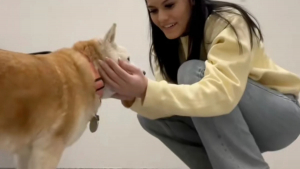 Illustration : "Elle entre dans un refuge pour adopter un chiot, elle repart avec un vieux toutou de 15 ans (vidéo)"
