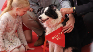 Illustration : "Panda, sacré meilleur acteur canin à la Palm Dog 2025, pour son rôle dans « L'Amour qu'il nous reste » (« The Love That Remains »)"