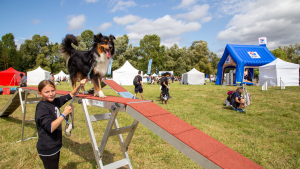 Illustration : "Le programme alléchant de Canidays avec Hill’s, le rendez-vous sportif de l’été pour les chiens et leur famille"