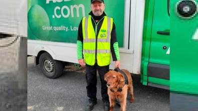 Illustration : "Après avoir reconnu un chien égaré sur la route, un livreur interrompt sa tournée pour le reconduire auprès des siens"