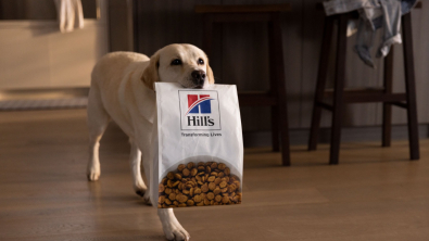 Illustration : Croquettes Hill’s pour chien, notre avis sur cette marque plébiscitée par les vétérinaires