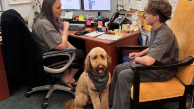 Illustration : Grâce à son adorable Goldendoodle, cette conseillère d’orientation réinvente son métier et se voit attribuer une récompense pour son travail (vidéo)