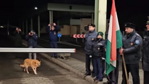 Illustration : "Par un formidable hasard, ce chien errant devient la vedette d’une cérémonie officielle pour l’ouverture d’une frontière (vidéo)"
