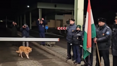 Illustration : Par un formidable hasard, ce chien errant devient la vedette d’une cérémonie officielle pour l’ouverture d’une frontière (vidéo)