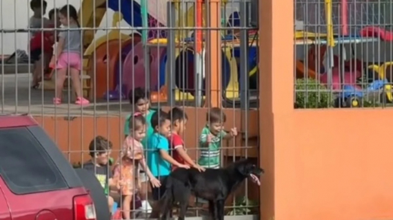 Illustration : Ce chien errant rend tous les jours visite aux enfants d&rsquo;une &eacute;cole maternelle et leur enseigne l&rsquo;amour et l&rsquo;empathie (vid&eacute;o)