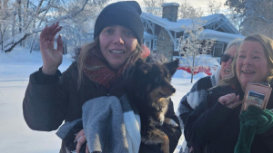 Illustration : "Échappée de sa séance de toilettage, cette chienne aventurière ne sera retrouvée que 5 jours plus tard"