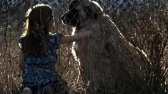 Illustration : Une petite fille dit au revoir &agrave; son grand copain canin avant de devoir d&eacute;m&eacute;nager et le perdre de vue