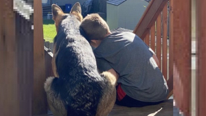 Illustration : "10 photos qui prouvent que nos chiens sont les meilleurs pour rendre notre vie plus belle"