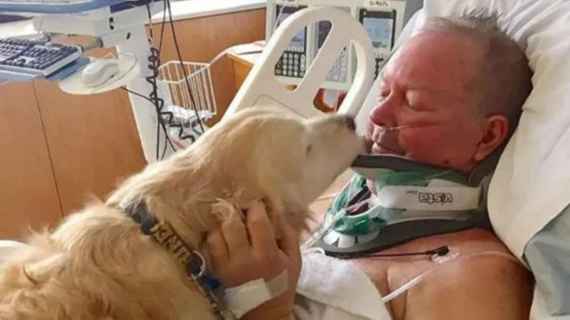 Illustration : 10 photos montrant tout l’amour des chiens pour leurs meilleurs amis