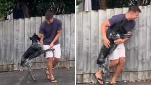 Illustration : "Après 2 ans d'absence, un jeune homme qui craignait que la chienne de sa sœur l’ait oublié, reçoit l’accueil le plus mémorable (vidéo)"