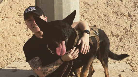 Illustration : Après 4 années de séparation, une militaire et son chien se retrouvent pour ne plus se quitter (vidéo)