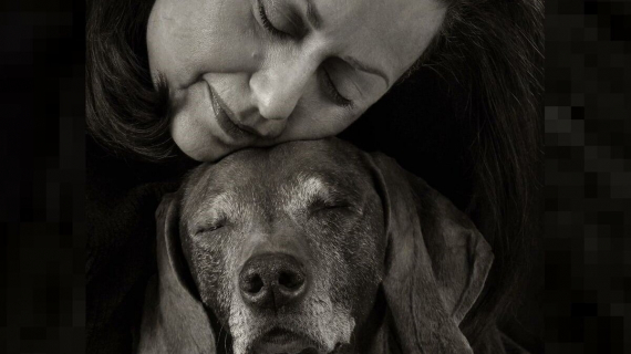 Illustration : 18 photos célébrant la beauté canine, présentées lors d’un concours de photographie d’exception