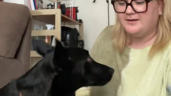 Illustration : Pour se faire comprendre de son chien, cette femme n’hésite pas à apprendre la seule langue à laquelle il répondait (vidéo)