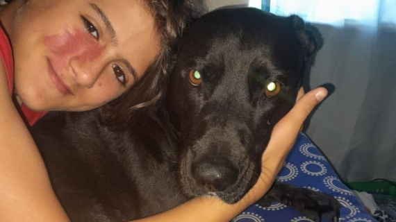 Illustration : Ce Labrador devient un véritable chien d’assistance après avoir détecté les symptômes de la maladie d’un enfant