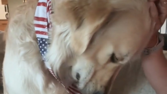 Illustration : La réaction adorable de ce Golden Retriever, déçu de quitter la maison au bord du lac à la fin des vacances (vidéo)