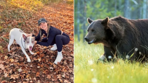 Illustration : "Une femme affronte un ours avec une simple gourde en métal pour sauver sa chienne en danger"