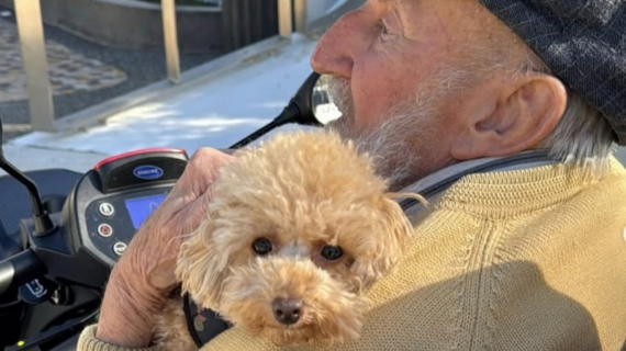 Illustration : Une magnifique amitié est née entre ce Caniche et un homme âgé qui souffrait de solitude et déclenche un élan de solidarité (vidéo)