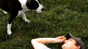 Illustration : "Pedro Pascal, l’acteur de Game of Thrones, rend hommage à la chienne qui l’a tant aidé"