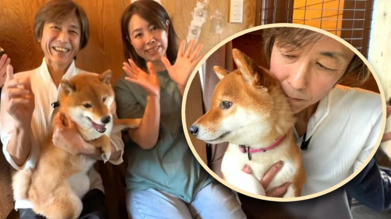 Cet homme sauvé par son chien alors qu’il tentait de mettre fin à ses