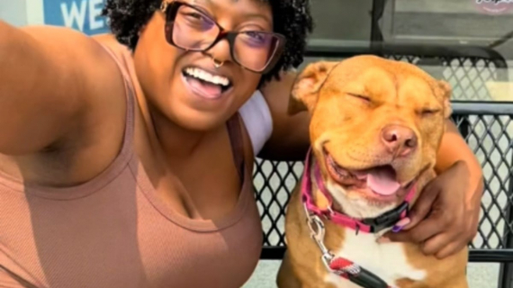 Illustration : Cette chienne trouve enfin son foyer pour la vie et dit au revoir &agrave; ses bienfaiteurs apr&egrave;s avoir pass&eacute; plus de 240 jours au refuge (vid&eacute;o)