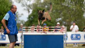 Illustration : "Comment bien préparer physiquement son chien avant de participer à un événement sportif comme Canidays avec Hill's"